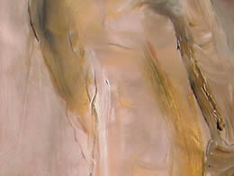 Sinuosa